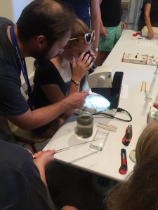 29570294_10155646810494856_7866231891008178501_n